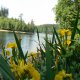 <p>Rekreace - šlapadla a pramice na Pastvinské přehradě</p>